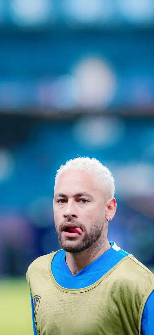 临的新挑战 临的新挑战